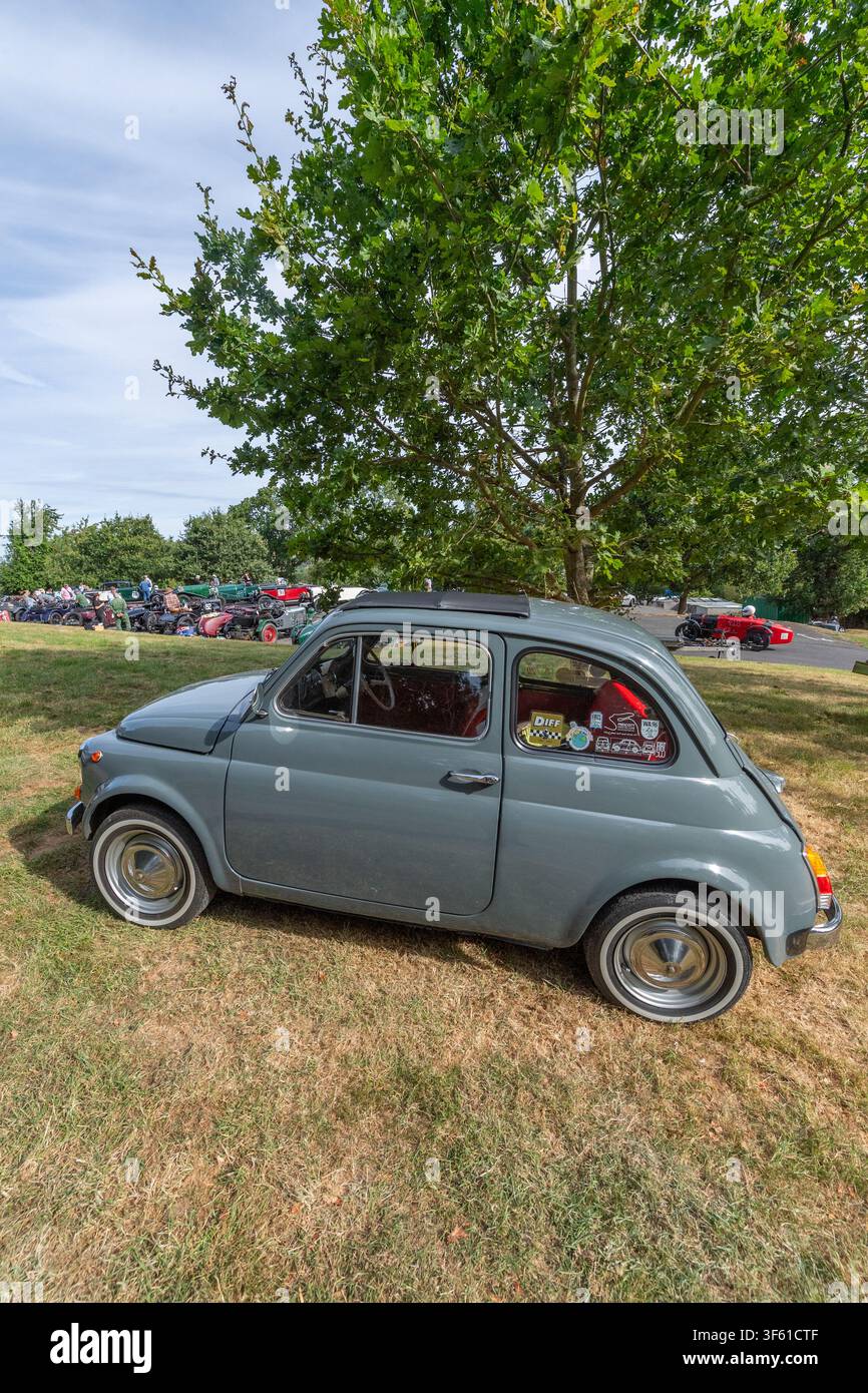 La Fiat Nuova 500 grigia parcheggiata su un bordo erboso in un ambiente boschivo. Foto Stock