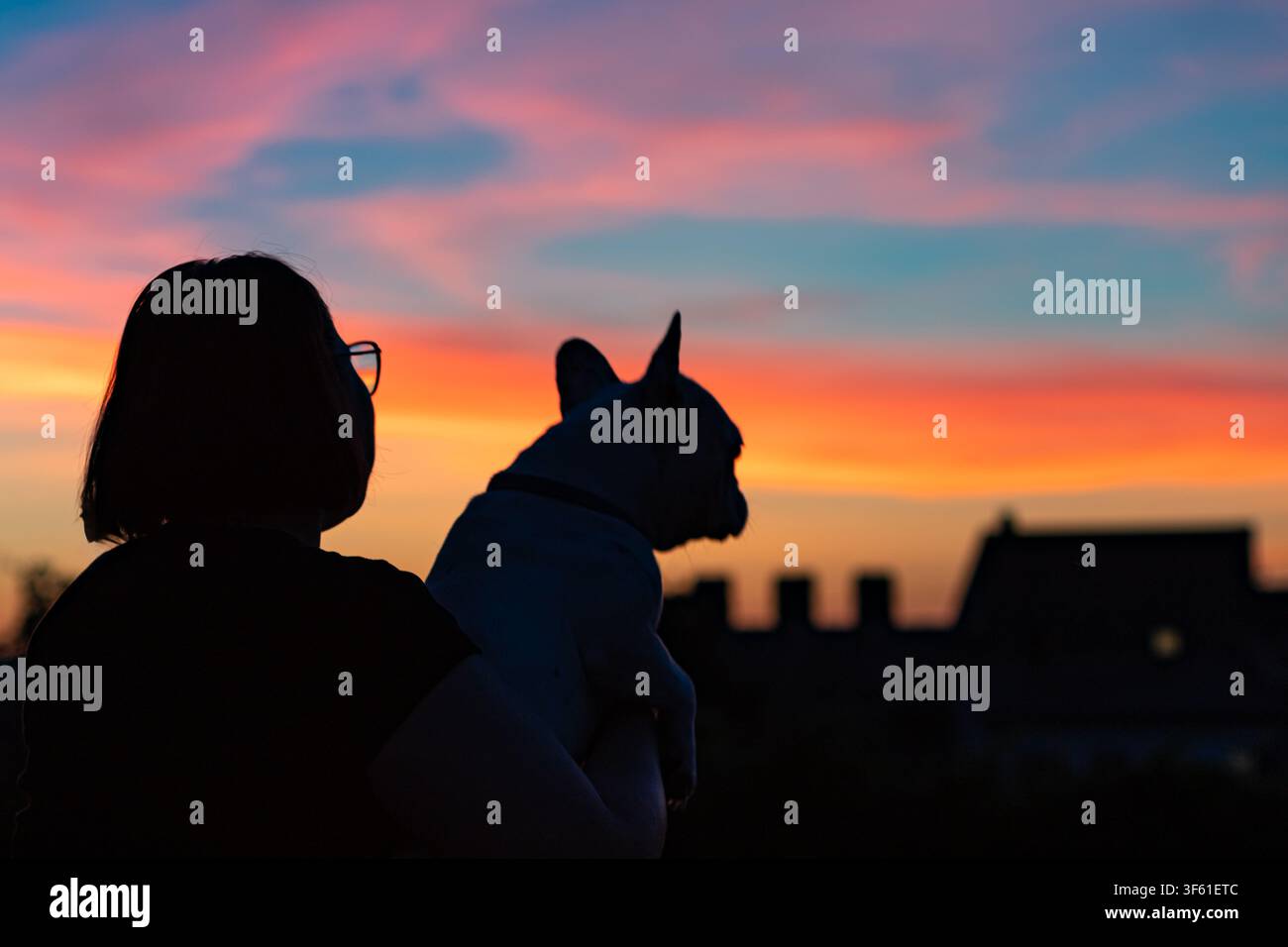 Un momento commovente di amicizia tra un uomo e un cane sullo sfondo di un cielo serale luminoso. Concetto di lealtà e amore per gli animali. Foto Stock