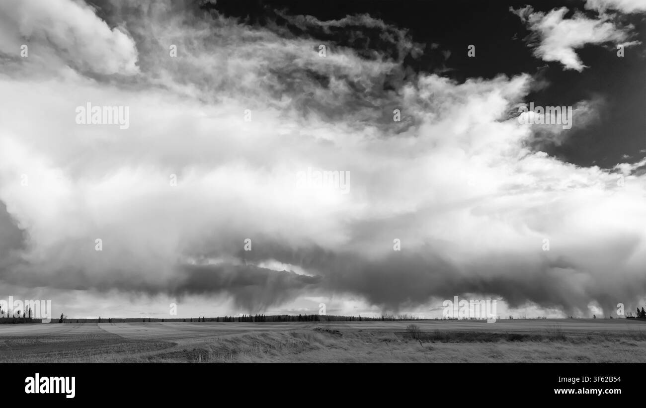 Un paesaggio rurale monocromatico che cattura un campo agricolo appena seminato sotto un drammatico cielo nuvoloso primaverile, con pioggia all'orizzonte. Foto Stock