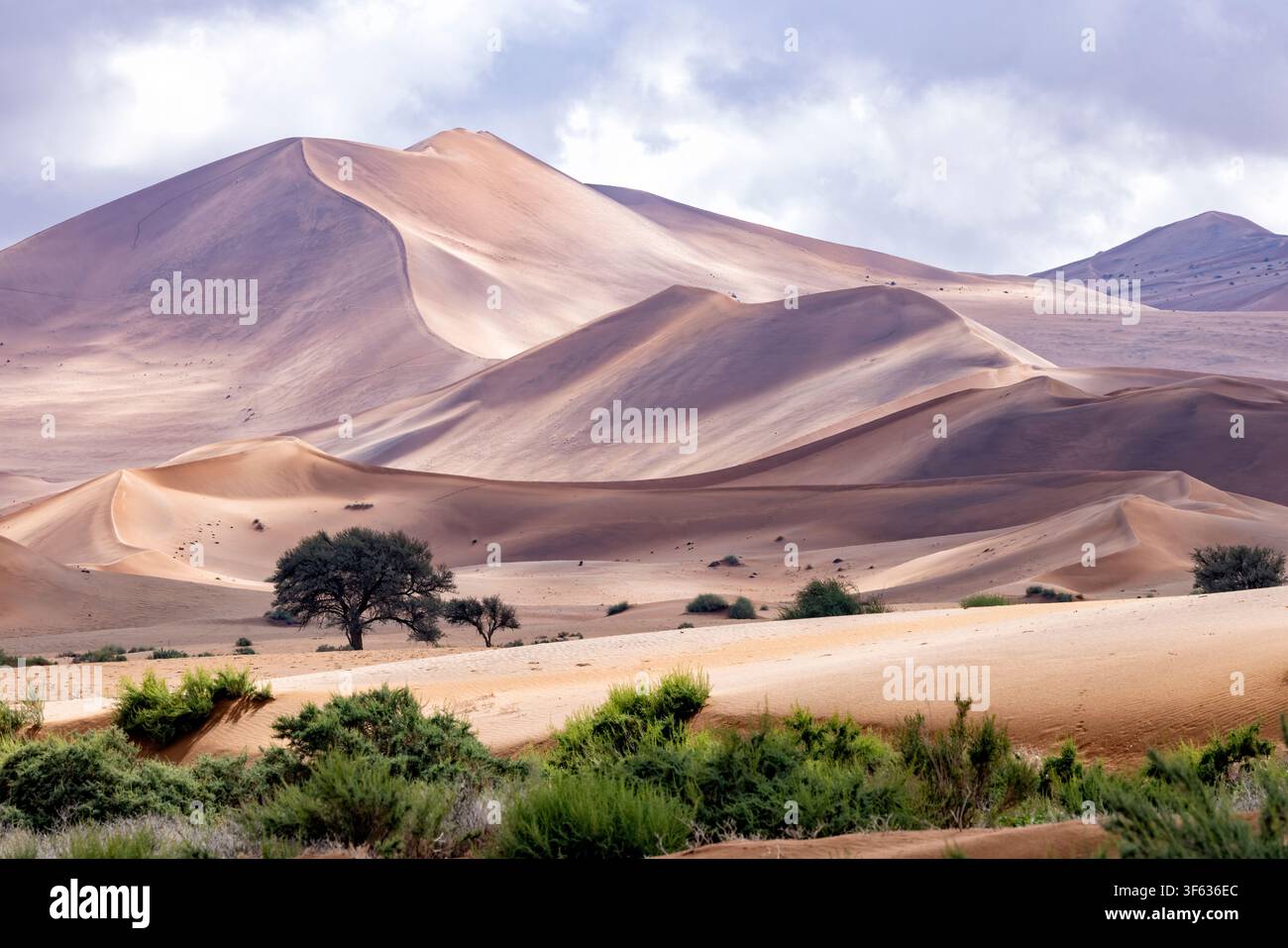 Dune di sabbia ultraterrena vicino a Sossusvlei nel Parco Nazionale Namib-Naukluft, Namibia, Africa Foto Stock