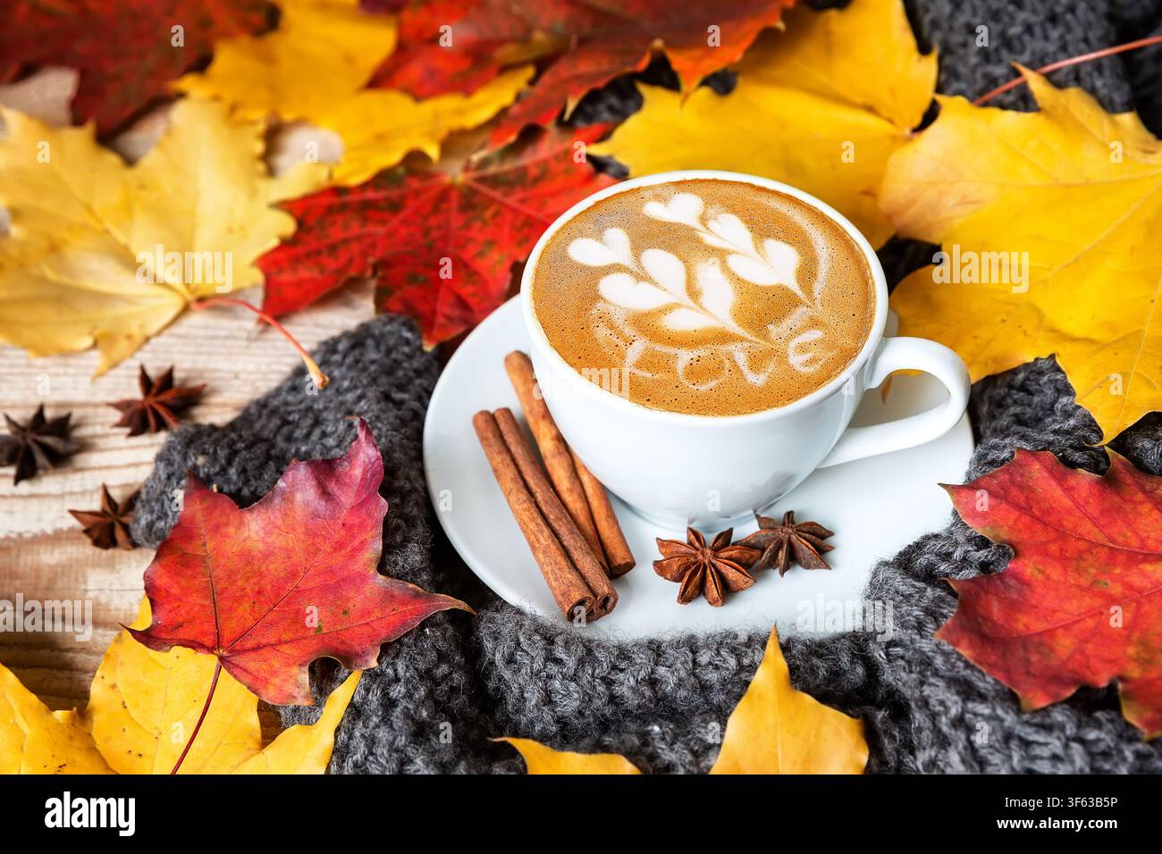 Vista dall'alto di una tazza bianca di cappuccino con LOVE scritto in latte art, posizionata su una sciarpa di lana grigia e accogliente con foglie d'acero autunnali colorate, cannella, Foto Stock