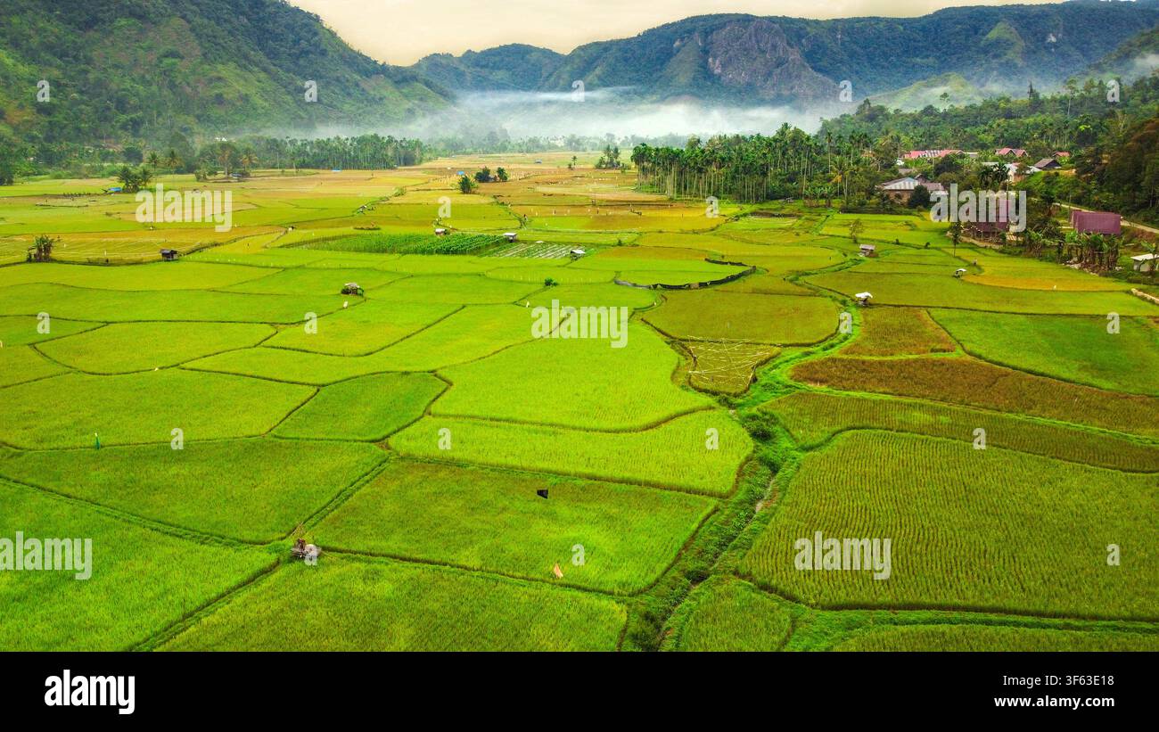 Vista aerea di campi di riso verdi in una valle alpina, Payakumbuh, Sumatra Occidentale, Indonesia Foto Stock
