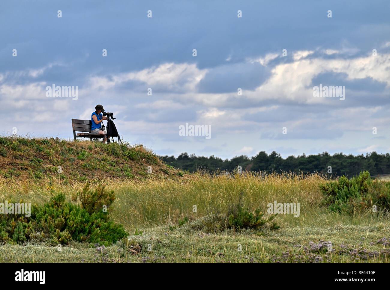 Osservatore di uccelli che utilizza un cannocchiale su un treppiede per scrutare le paludi a Thornham, Norfolk, Regno Unito, seduto su una panchina remota sul sentiero costiero Foto Stock