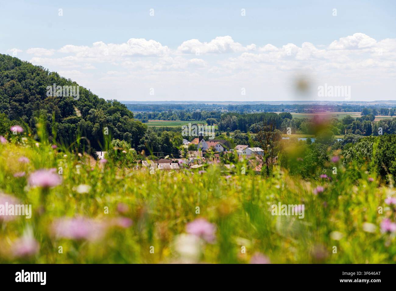 Sulzbach vicino a Donaustauf, Alta Palatinato, Baviera, Germania; veduta della città con la chiesa fortificata di San Martino Foto Stock