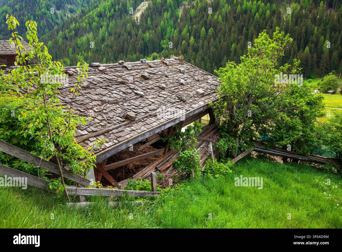 Capannone di stoccaggio con un classico tetto a scandole, valle di Ulten, Alto Adige Foto Stock