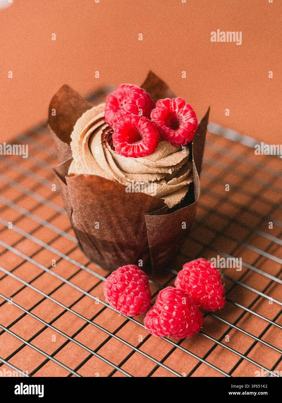 Cupcake al cioccolato con glassa a spirale e lamponi freschi su griglia metallica Foto Stock