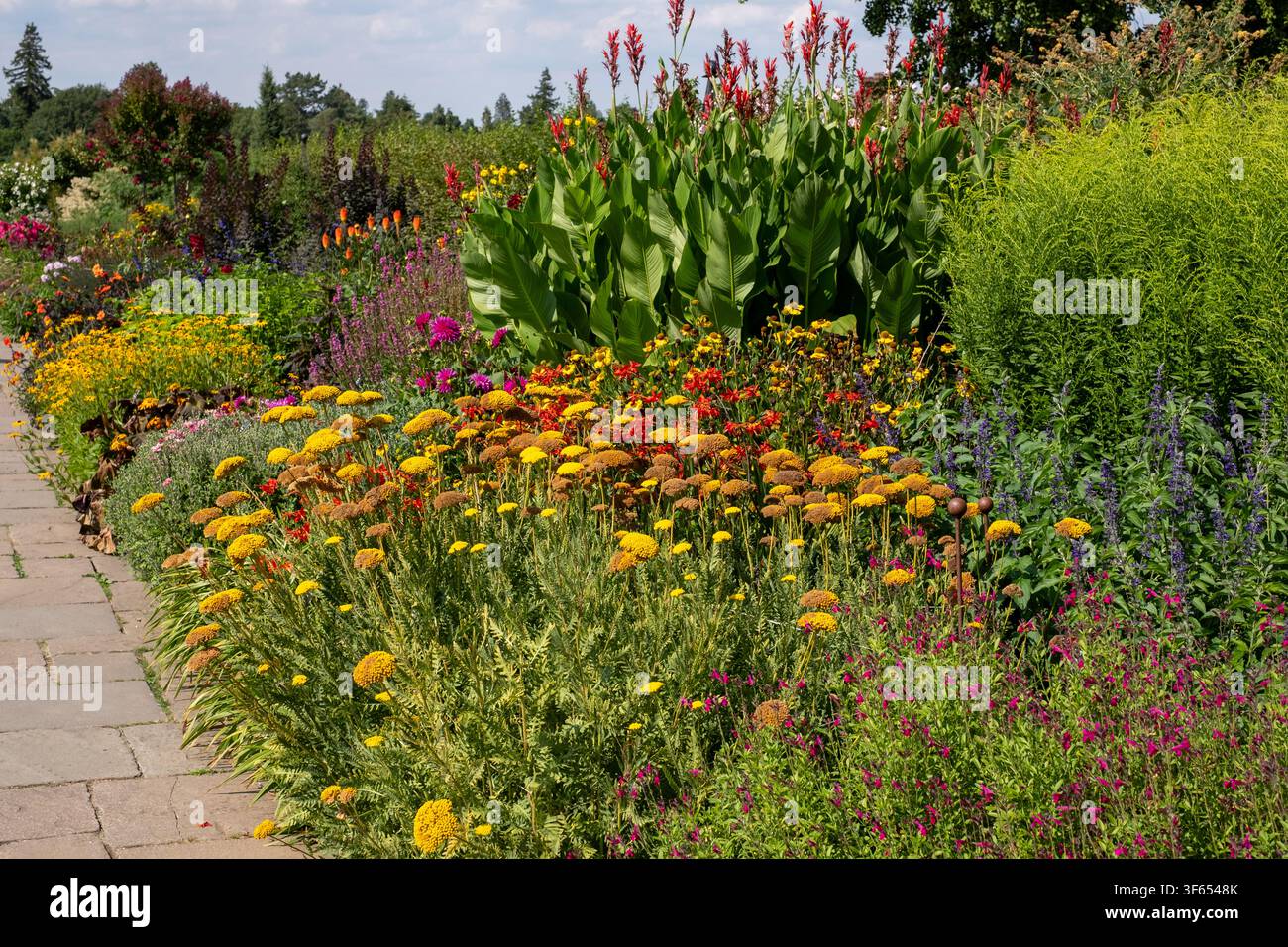 Stupenda bordura di fiori misti colorata al giardino di Wisley, Surrey UK. Le ampie aiuole sono piantate principalmente con piante perenni. Foto Stock