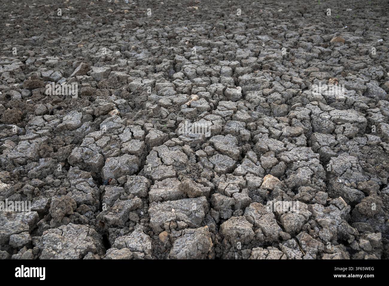 Terra screpolata durante condizioni di siccità estrema Foto Stock