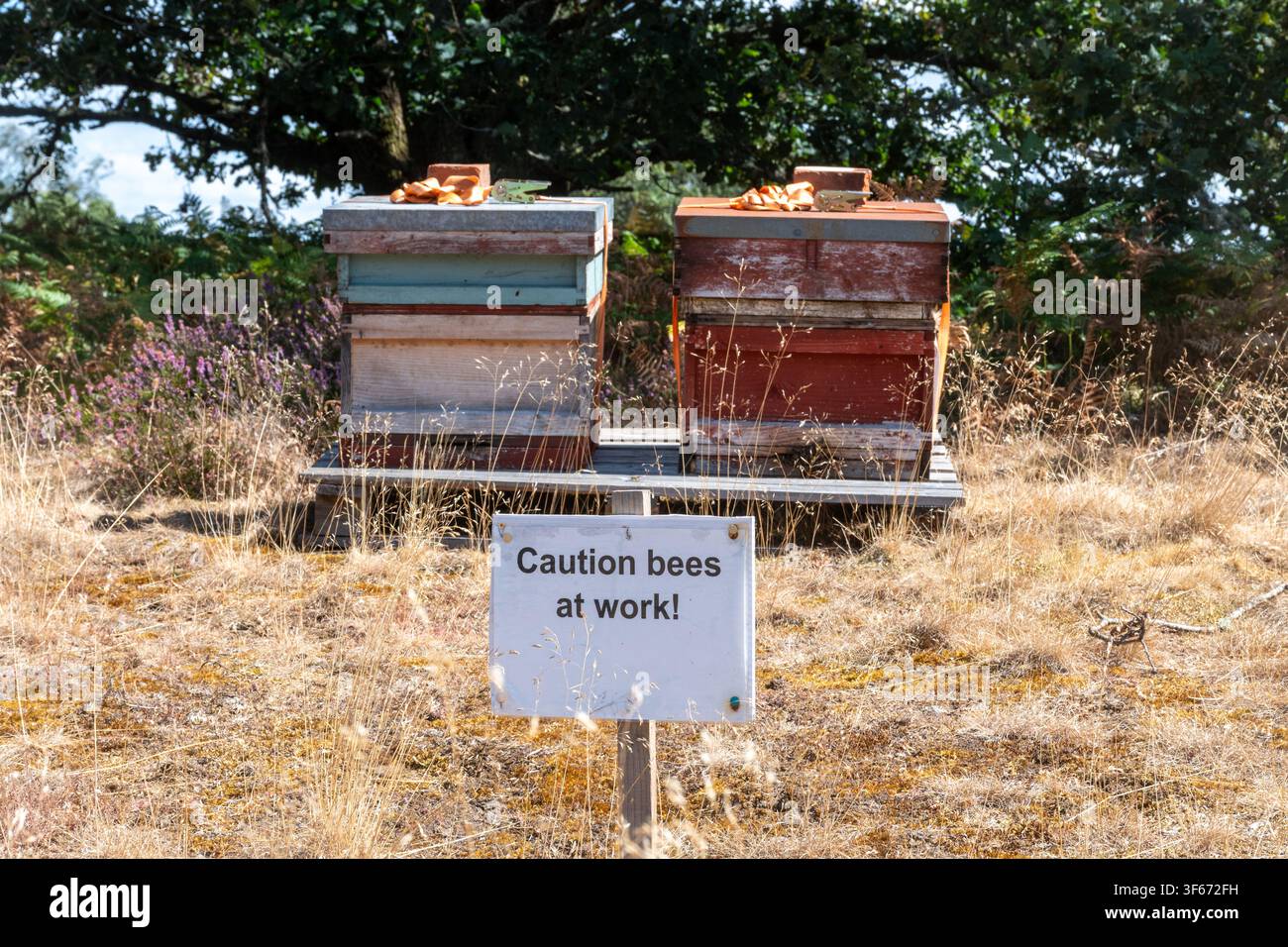 Due alveari in campagna con un cartello di avvertimento, Attenzione alle api al lavoro, Inghilterra, Regno Unito Foto Stock