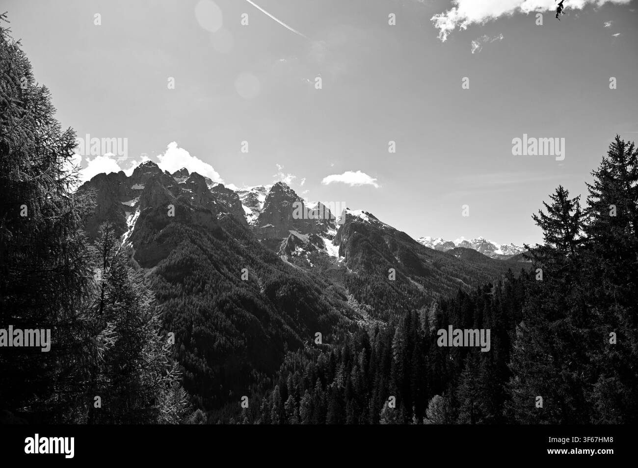 Una fotografia di paesaggio ampia e drammatica in bianco e nero che cattura pendici montuose scure e boschive in primo piano, che conducono a maestosi picchi alpini frastagliati pesantemente ricoperti di neve. La scena ad alto contrasto è ambientata sotto un cielo grigio liscio ed esteso, enfatizzando le texture e i contorni netti del terreno ad alta quota. Foto Stock
