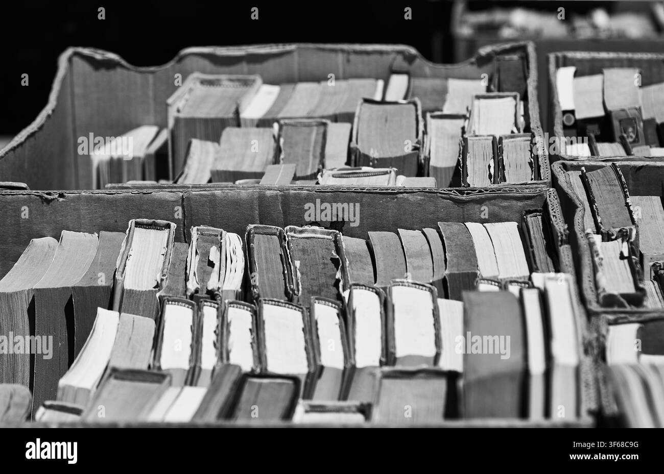 Collezione di libri usati disposti in scatole di cartone su uno stand di strada, con diverse dimensioni e colori di dorsi e pagine in bianco e nero Foto Stock