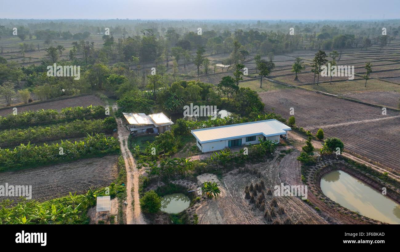 Casolare circondato da terreni agricoli coltivati, stagni di irrigazione, piantagioni di banane e campi di colture produttive. Agricoltura sostenibile e autosufficienza Foto Stock