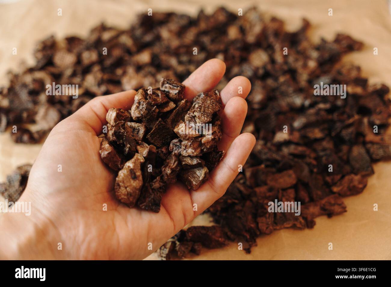 Mano che tiene premi in polmone di manzo essiccato naturale per cani sopra una pila di carne disidratata. Spuntino sano per animali domestici a singolo ingrediente, ricco di proteine. Foto Stock
