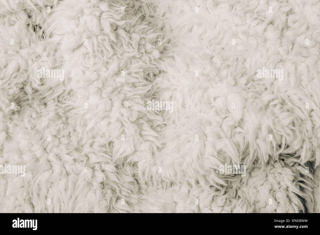 Primo piano della texture di un cappotto in pelle di pecora bianca con pelo riccio e morbido, fibre di lana dense e dettagli naturali e soffici. Sfondo tessile neutro per la moda Foto Stock