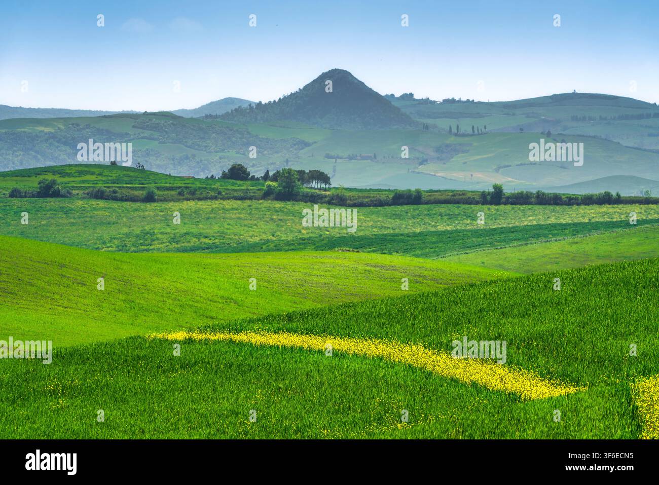 Paesaggio primaverile di dolci colline verdi con fiori gialli e la forma piramidale del Monte Voltraio in lontananza. Volterra, Pisa, Toscana, Italia Foto Stock