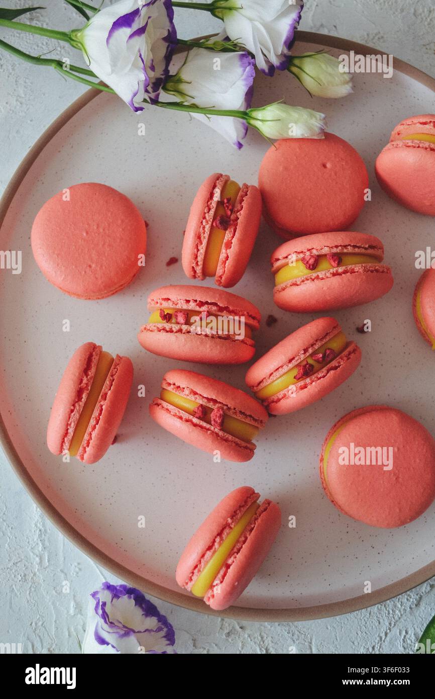 Flat lay di macaron francesi rosa con ripieno giallo e lamponi liofilizzati decorati con fiori Foto Stock