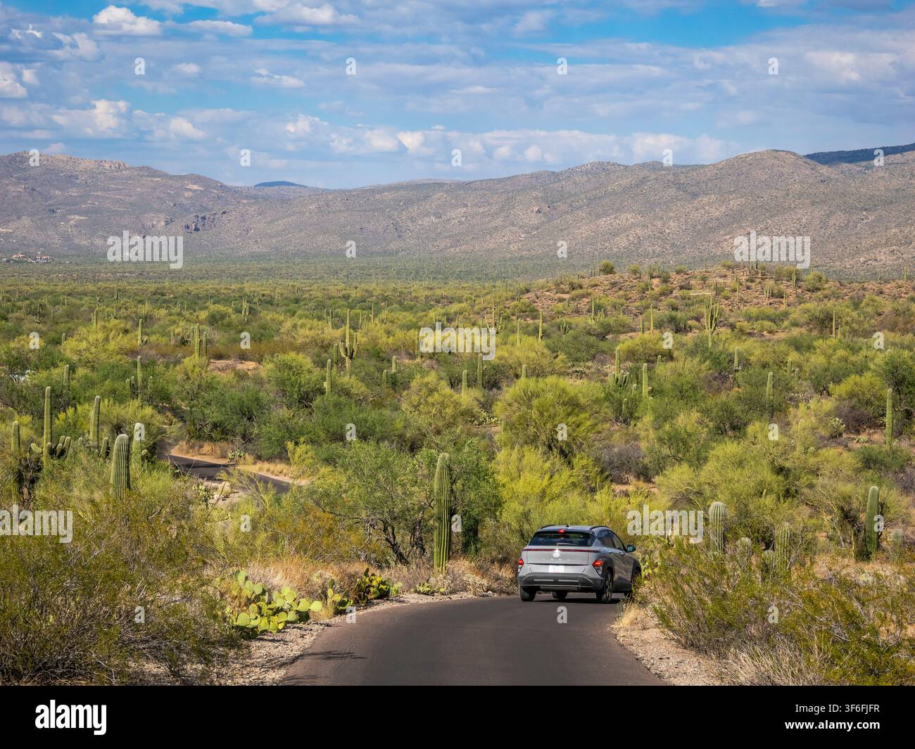Strada attraverso il distretto delle montagne Rincon del Saguaro National Park fuori Tucson nel sud-est dell'Arizona, USA Foto Stock