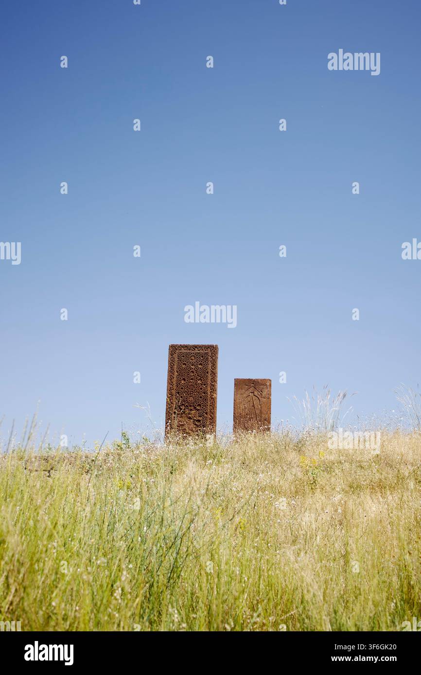 Lapidi seggiuche storiche con intricate intagli su pietra sotto un cielo blu limpido al cimitero seggiuco di Ahlat a Bitlis, Turchia. Foto Stock