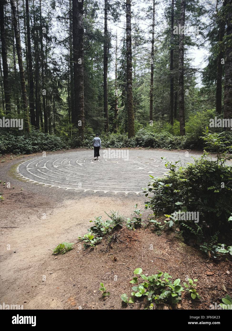 Una donna che cammina da sola in un labirinto in una foresta. Foto Stock