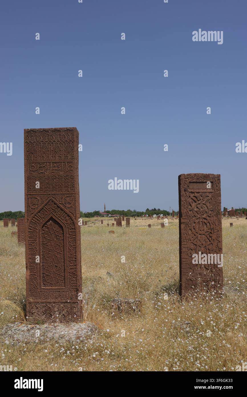 Lapidi seggiuche storiche con intricate intagli su pietra sotto un cielo blu limpido al cimitero seggiuco di Ahlat a Bitlis, Turchia. Foto Stock