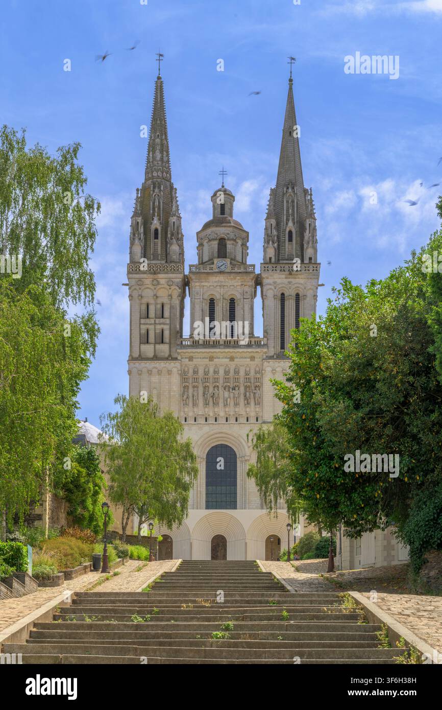 Fuori dalla Cattedrale di Angers (Cathédrale Saint-Maurice d'Angers), con una grande scalinata – Montée Saint-Maurice – che si aggiunge all'edificio. Foto Stock