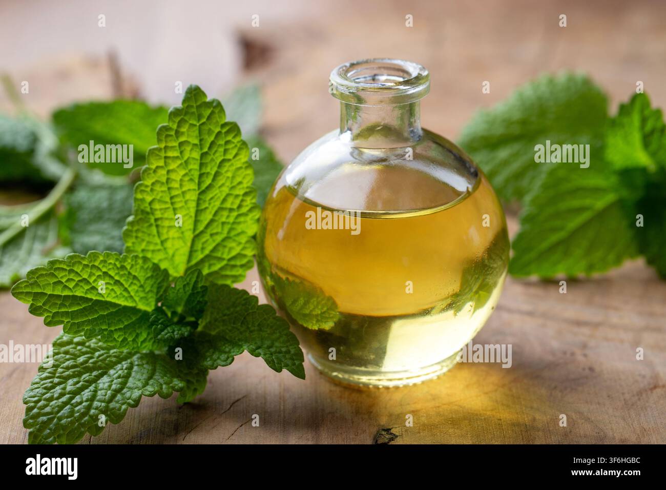 Bottiglia di olio essenziale con foglie fresche di melissa verde su sfondo di legno Foto Stock