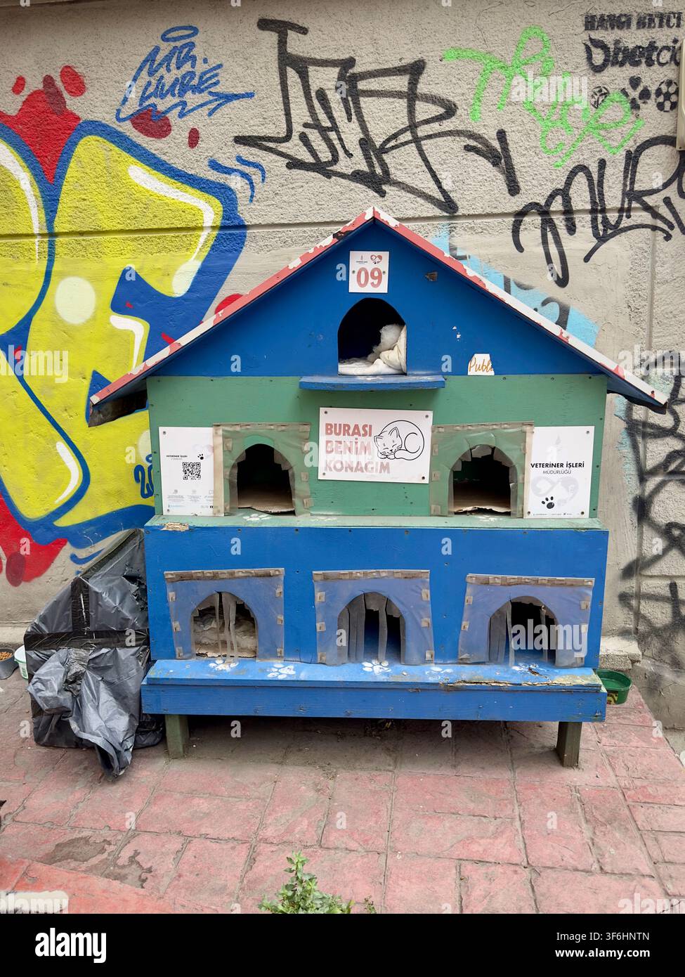 Istanbul, Istanbul, Turkiye- 27 luglio 2023: Rifugio colorato per gatti nel Viale dei Graffiti Foto Stock