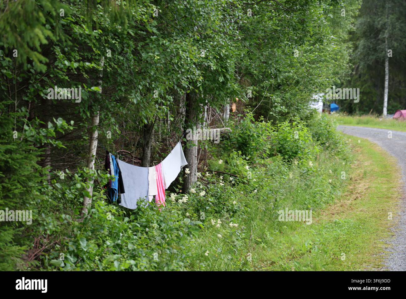 Vestiti che si asciugano su una corda da bucato tra due alberi in un campeggio boschivo, catturando una vita all'aperto sostenibile nella natura selvaggia scandinava. Foto Stock