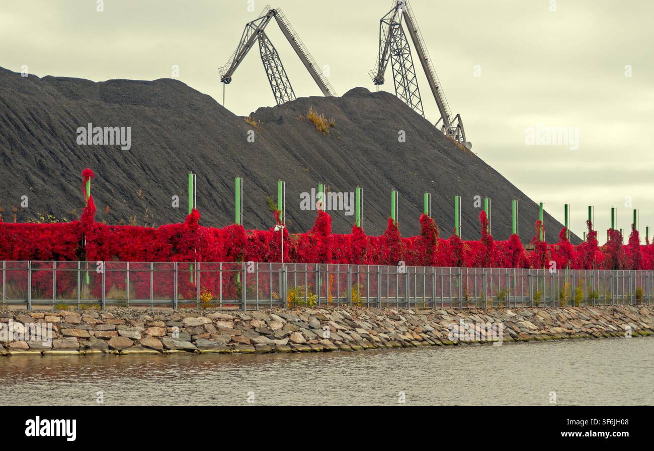 Helsinki, Finlandia - 28.09.2017: Foglia verde brillante che cresce su una recinzione davanti a cumuli di minerali scuri e macchinari in acciaio sul lungomare Foto Stock