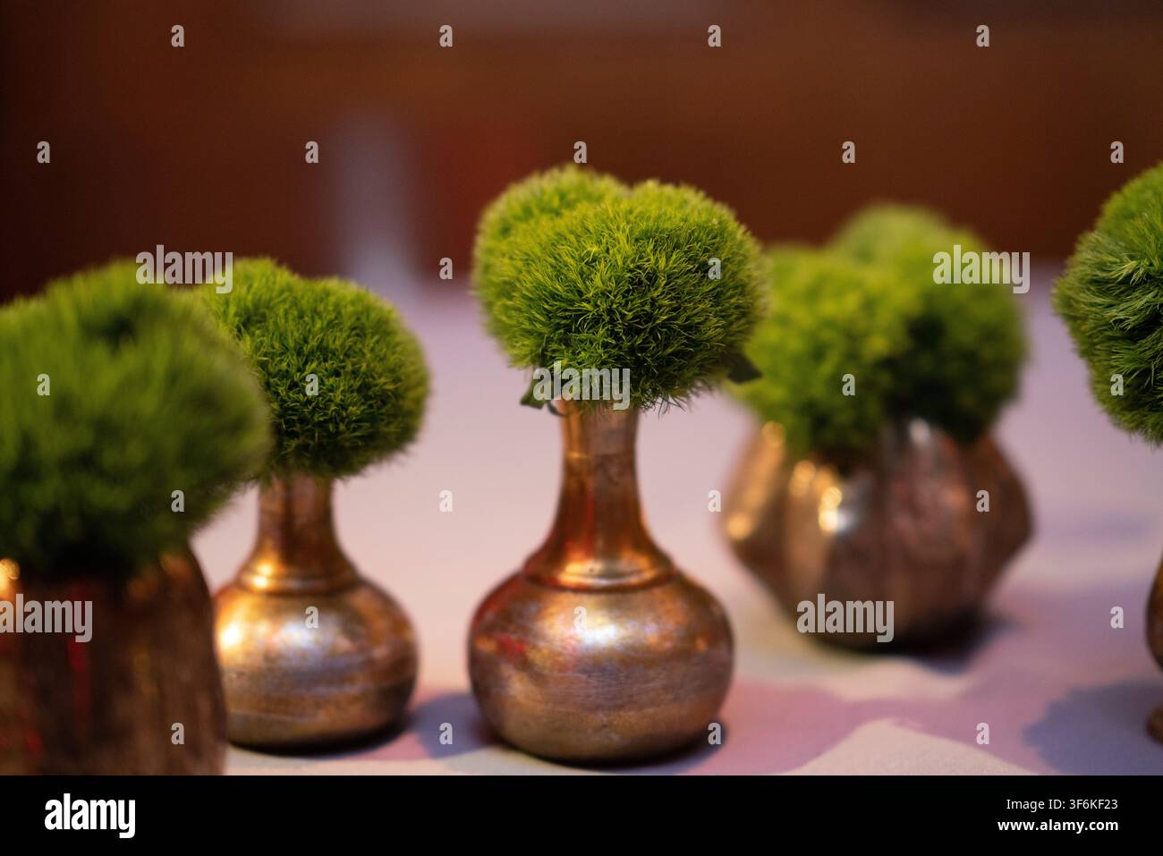 I fioristi posizionano dianthus verdi in vasi metallici per fornire una decorazione da tavolo sofisticata per un luogo per eventi moderno. Foto Stock