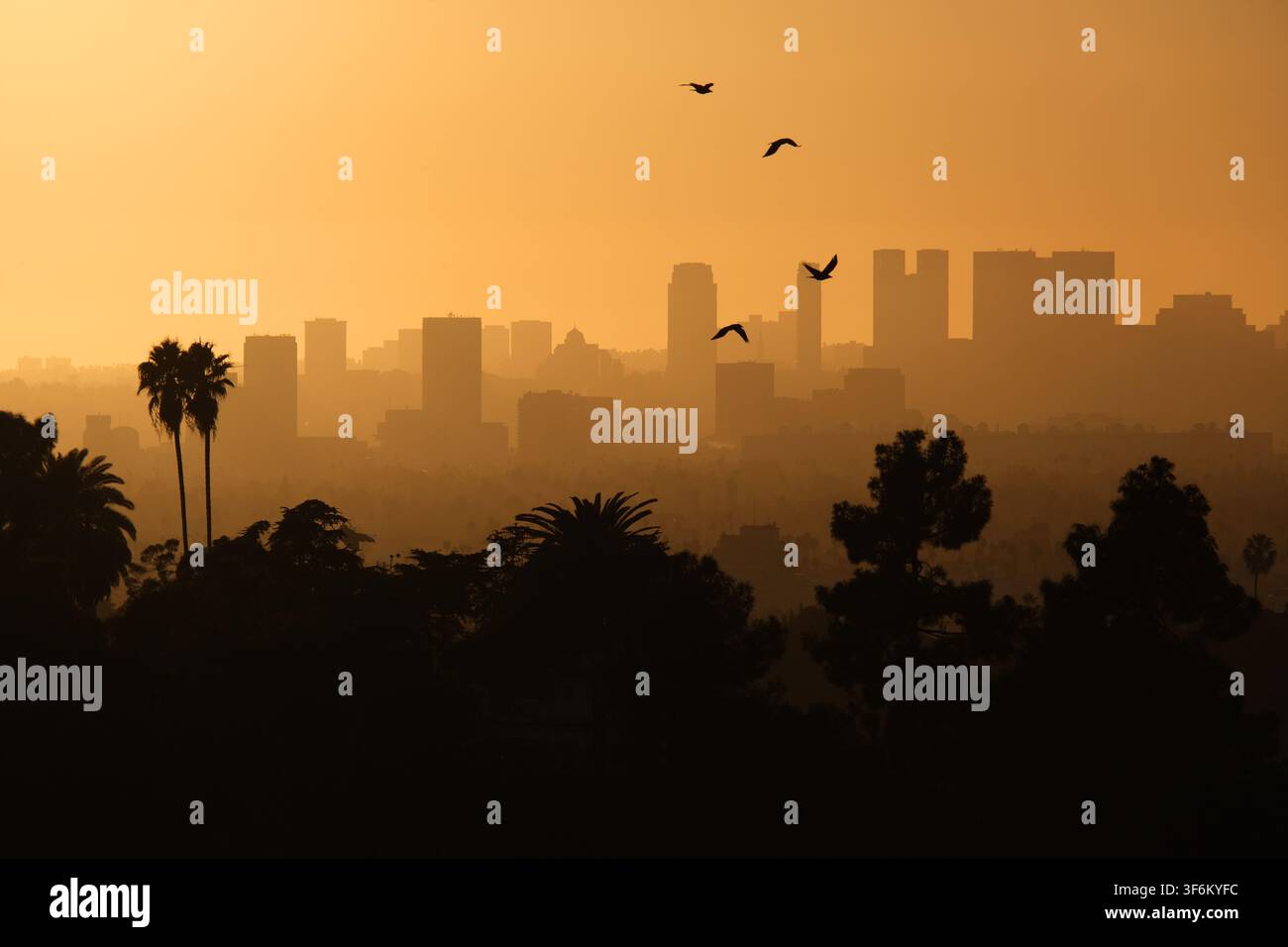 Una luce pomeridiana nebbiosa e suggestiva crea silhouette stratificate di Los Angeles, inclusi uccelli e palme Foto Stock