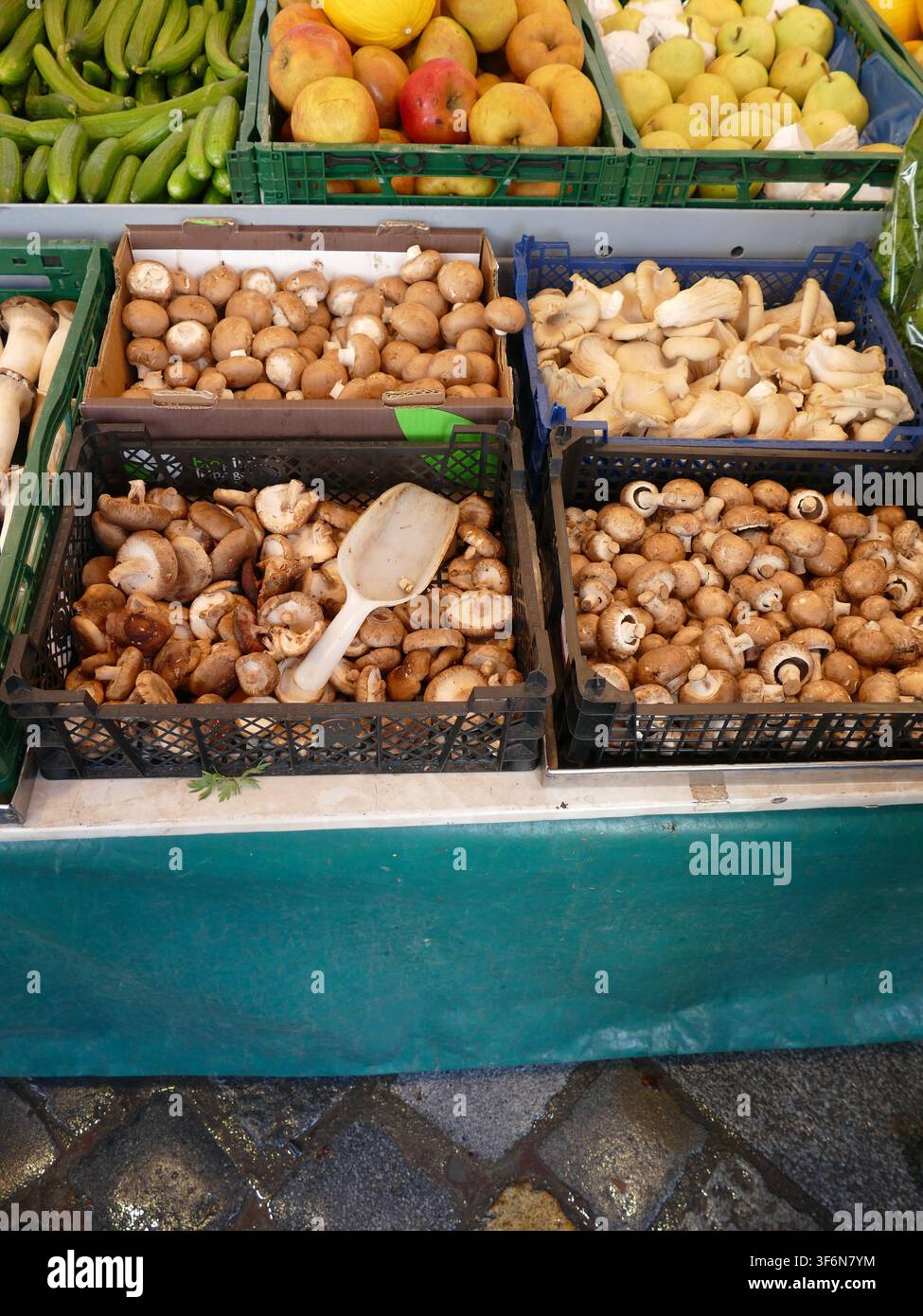 Funghi esposti in diverse casse su un vivace banco di mercato all'aperto con frutta e verdura biologica fresca, attraenti per i consumatori attenti alla salute Foto Stock