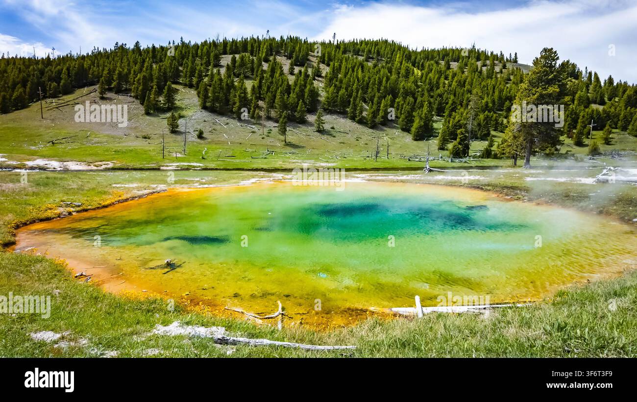 Piscina termale dai colori minerali vivaci lungo il panoramico Fairy Falls Trailhead a Yellowstone Foto Stock