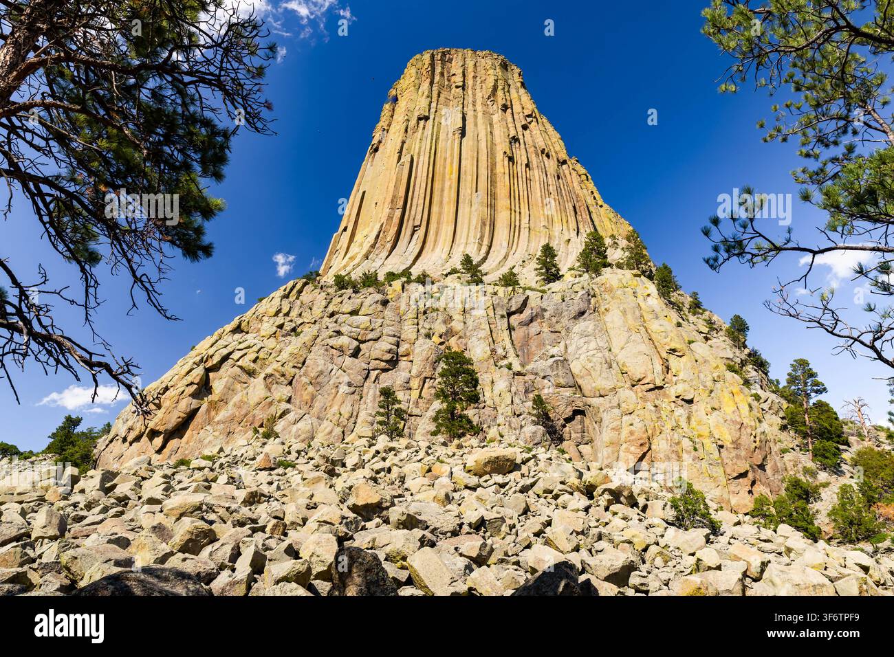 Vista ravvicinata del Monumento Nazionale di Devils Tower che si erge sopra la foresta circostante nel Wyoming Foto Stock