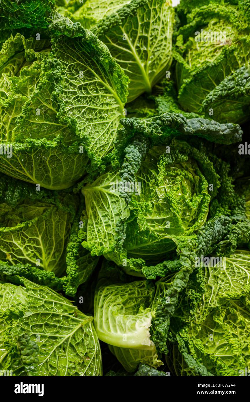 Cavoli verza appena raccolti con foglie verdi strutturate impilati per la vendita Foto Stock