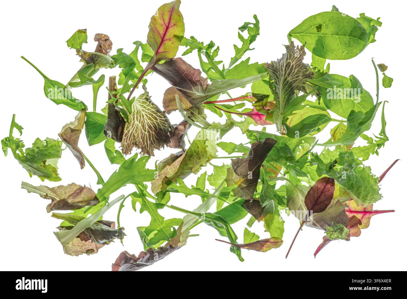 Verdure per insalata in composizione dinamica, che mostra una varietà di verdure a foglia, texture naturali, colori vivaci, sensazione organica, abbondanza, freschezza, pla Foto Stock