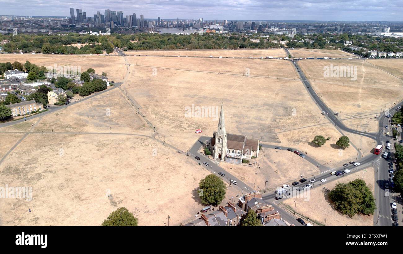 Blackheath nel sud di Londra, un ampio spazio comune solitamente noto per i suoi vasti prati e panorami, è stato lasciato bruciato e arido dalla Foto Stock