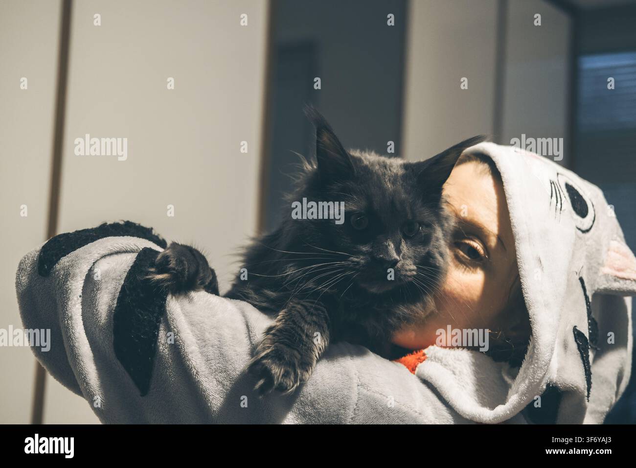 Una giovane donna caucasica con i capelli corti tiene un grosso gatto nero vicino al viso. Indossa una felpa accogliente con motivi animali. Lo sfondo è Foto Stock
