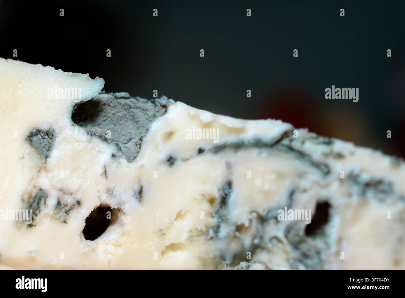 Scatto macro che cattura la texture dettagliata del cremoso formaggio blu Gorgonzola con caratteristiche venature di muffa verde-blu che attraversano la pasta pallida Foto Stock