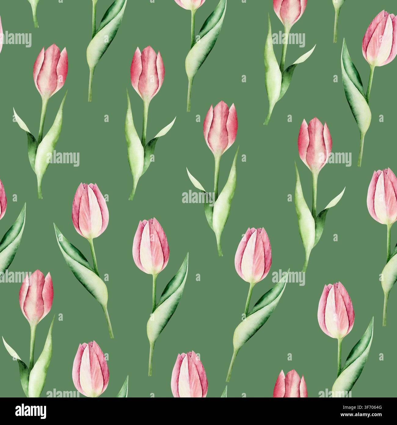 Fiori di tulipani rosa primaverile senza cuciture. Acquerello pasqua illustrazione disegnata a mano isolata su sfondo, trasparente png. Botanico e matrimonio Foto Stock