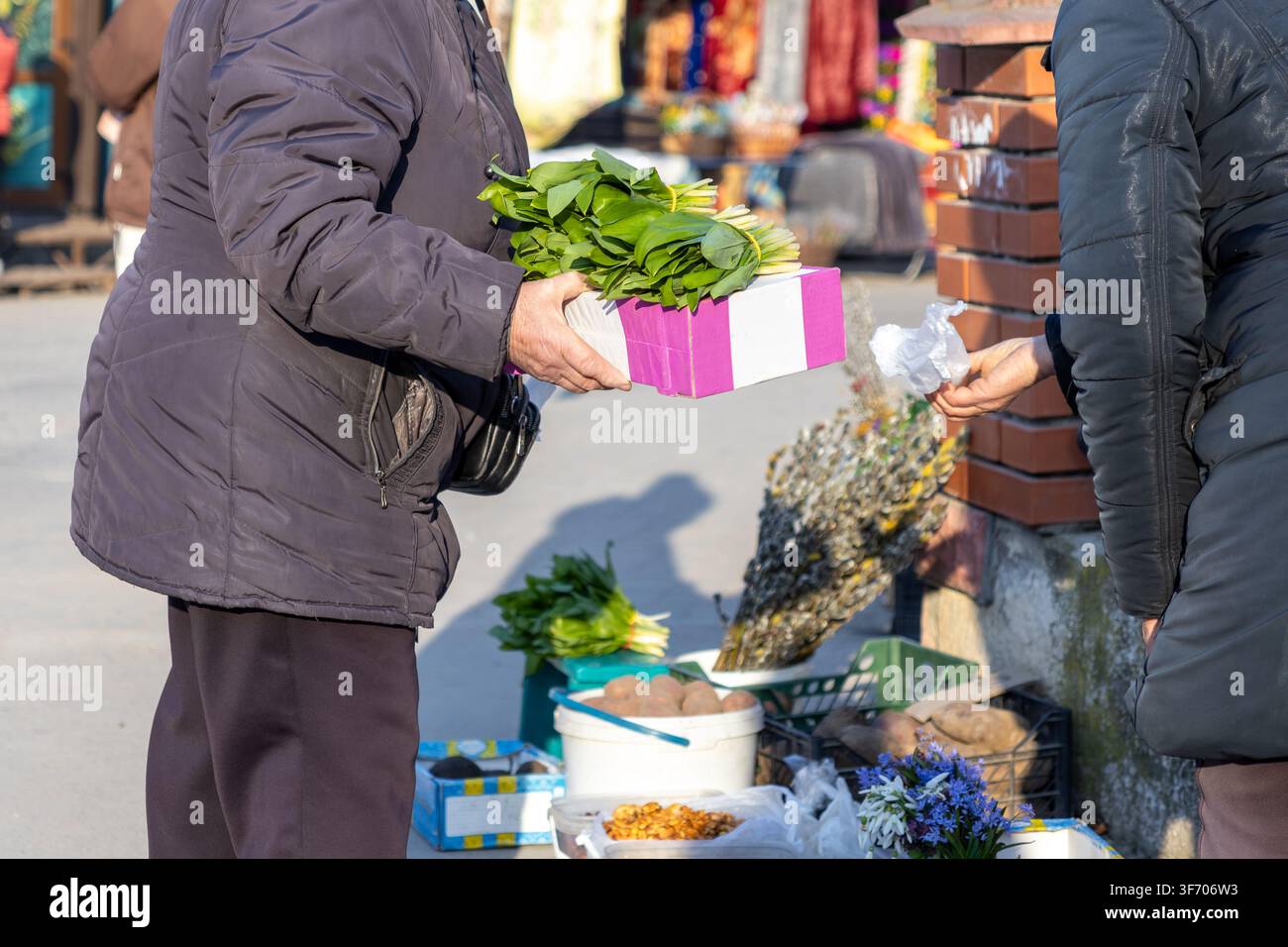 Acquirente locale che acquista prodotti biologici da un anziano venditore ambulante in un luminoso mercato all'aperto, enfatizzando l'approvvigionamento sostenibile di alimenti locali e su Foto Stock