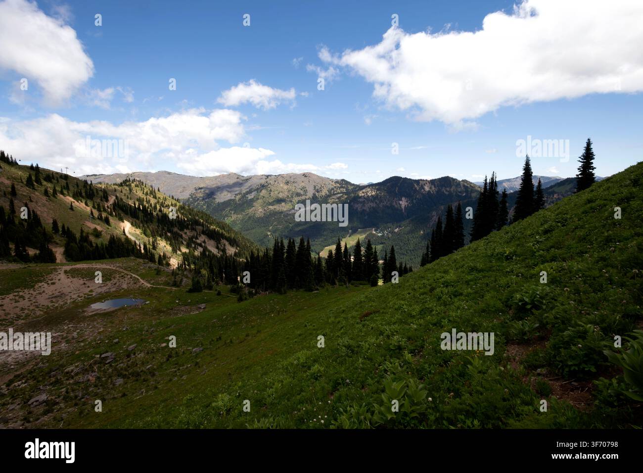 USA, Stato di Washington. Foresta nazionale di Mount Baker–Snoqualmie. Foto Stock