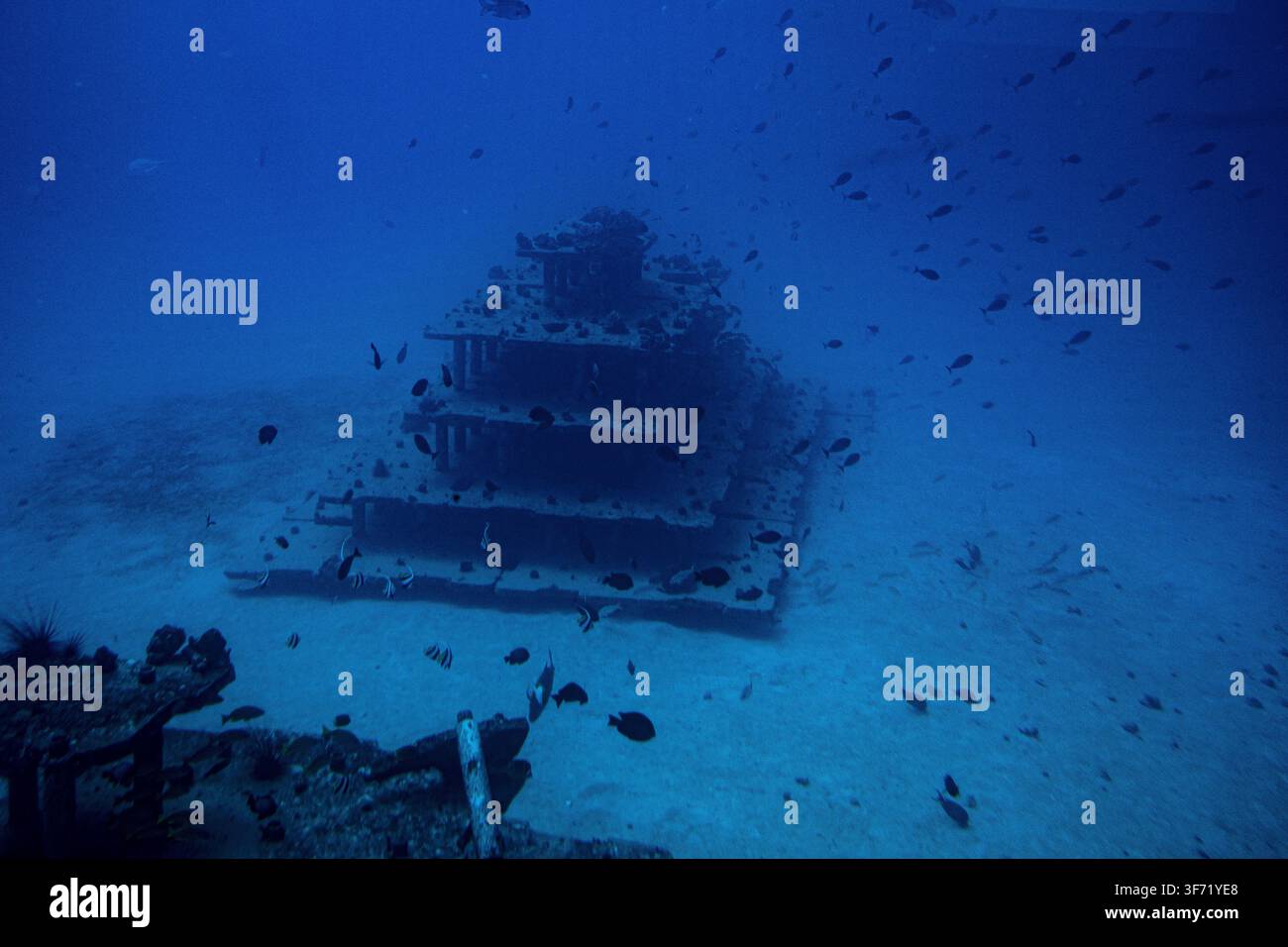 Una struttura artificiale a forma di piramide a gradini si trova sul fondale sabbioso dell'oceano, circondata da banchi di piccoli pesci, al largo della costa delle Hawaii. Foto Stock
