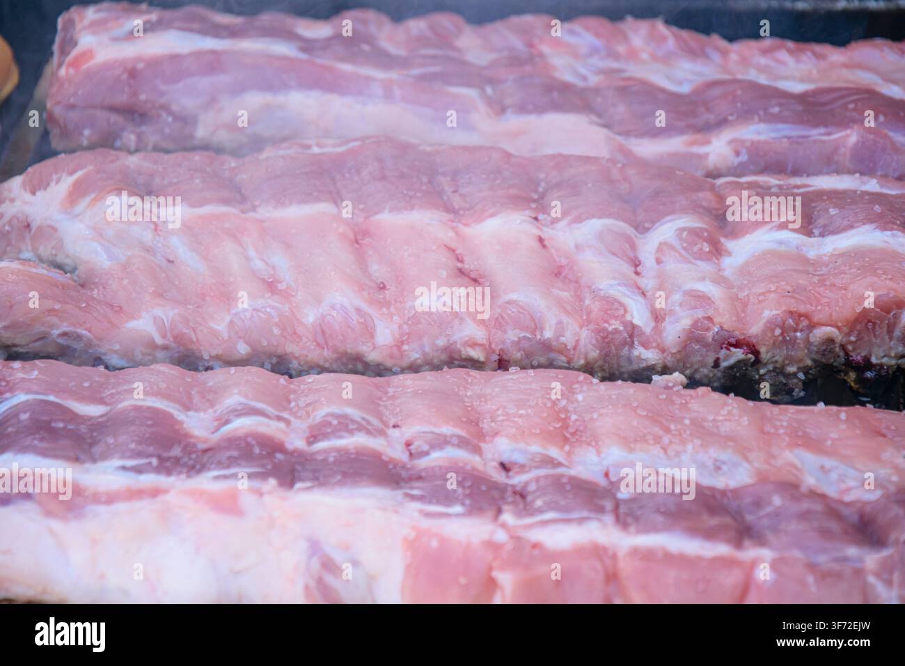 Costine di maiale crude condite con cristalli di sale su griglia per barbecue in metallo all'aperto Foto Stock