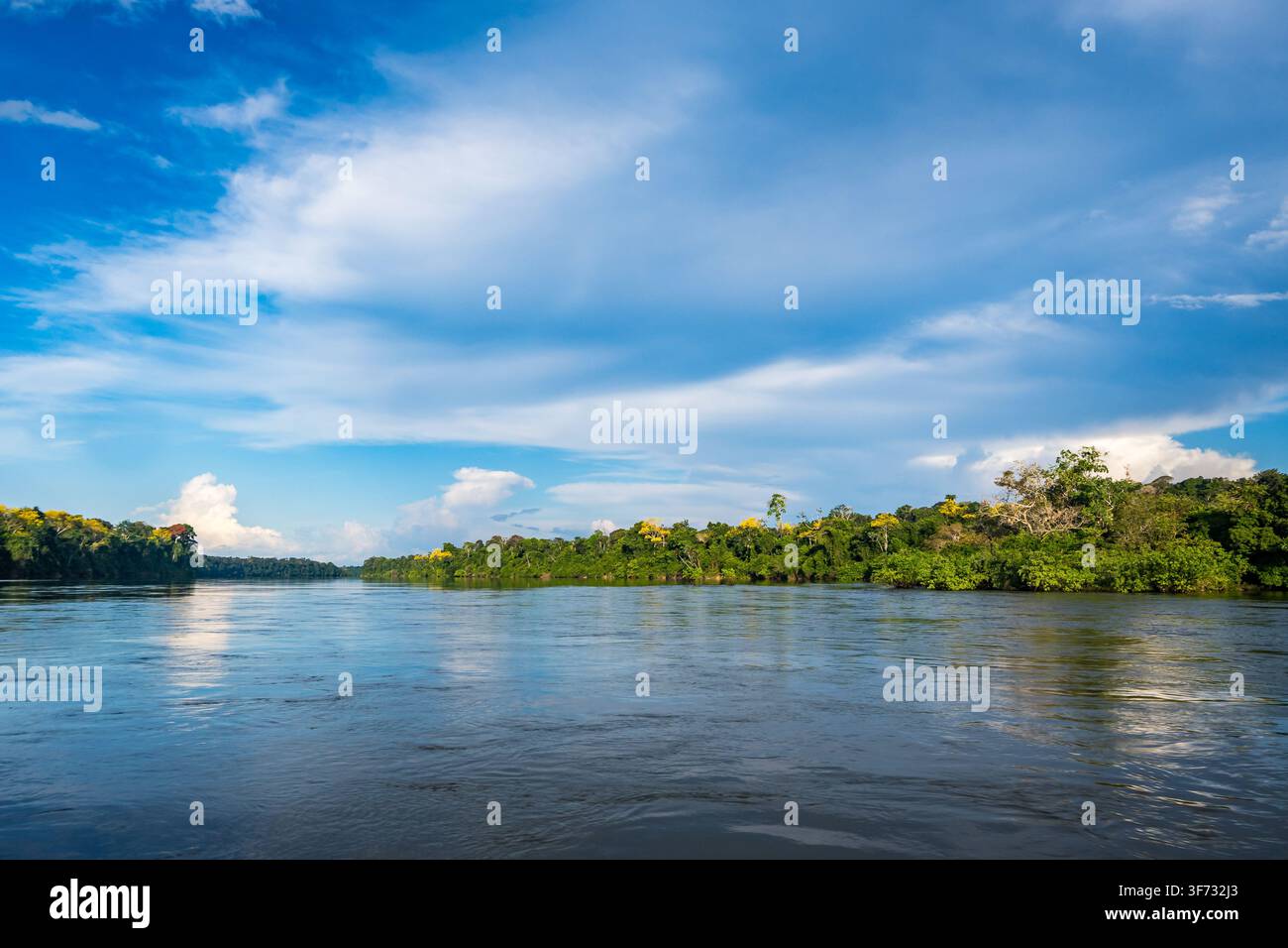 Foresta incontaminata lungo il Rio Aripuanã, un affluente del Rio Madeira nel bacino amazzonico. Amazonas, Brasile. Foto Stock