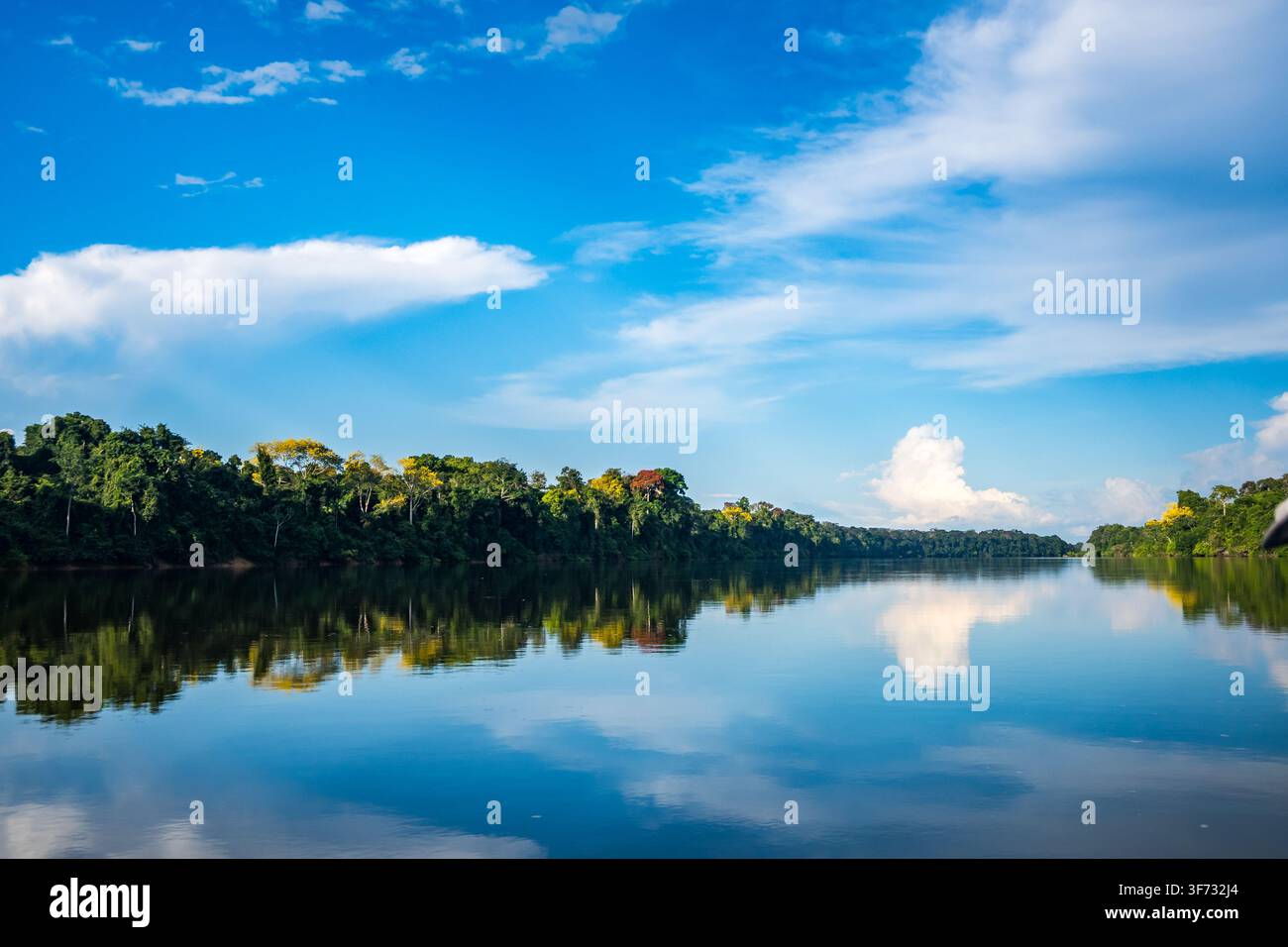 Foresta incontaminata lungo il Rio Aripuanã, un affluente del Rio Madeira nel bacino amazzonico. Amazonas, Brasile. Foto Stock