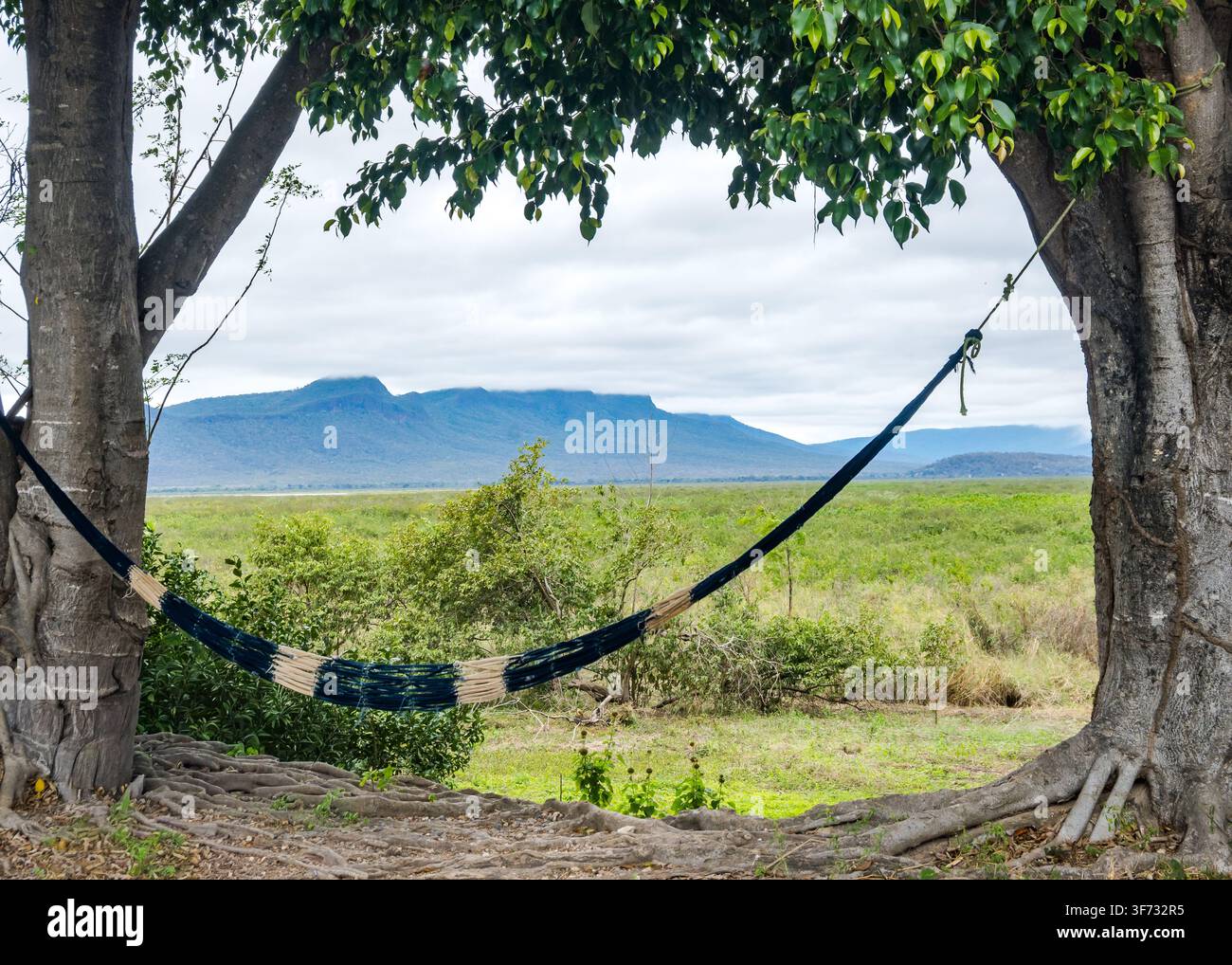 Un'amaca appesa tra due alberi con montagne sullo sfondo. Mato Grosso do Sul, Brasile. Foto Stock