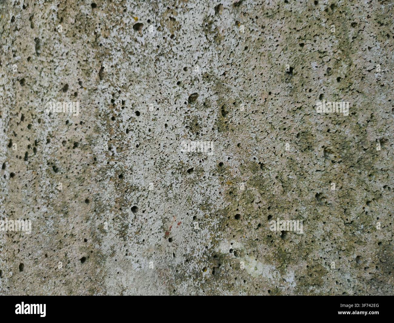 Una vista ravvicinata di un muro di cemento poroso che mostra numerosi piccoli buchi e una trama butterata. Foto Stock