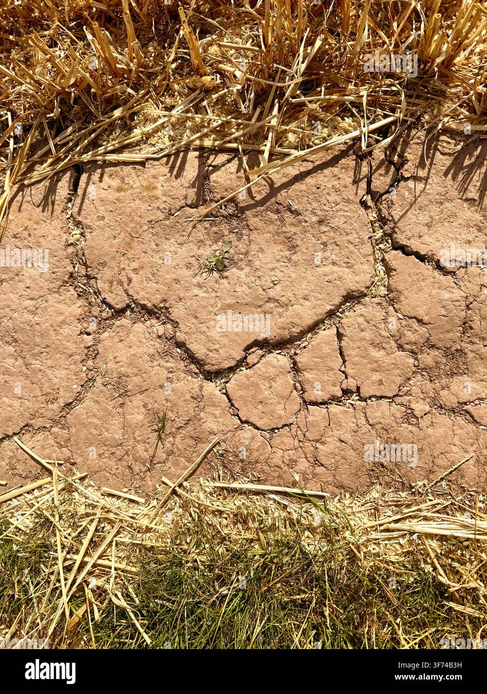 Terreno secco cotto dal sole duro in una fattoria in Inghilterra, Regno Unito Foto Stock