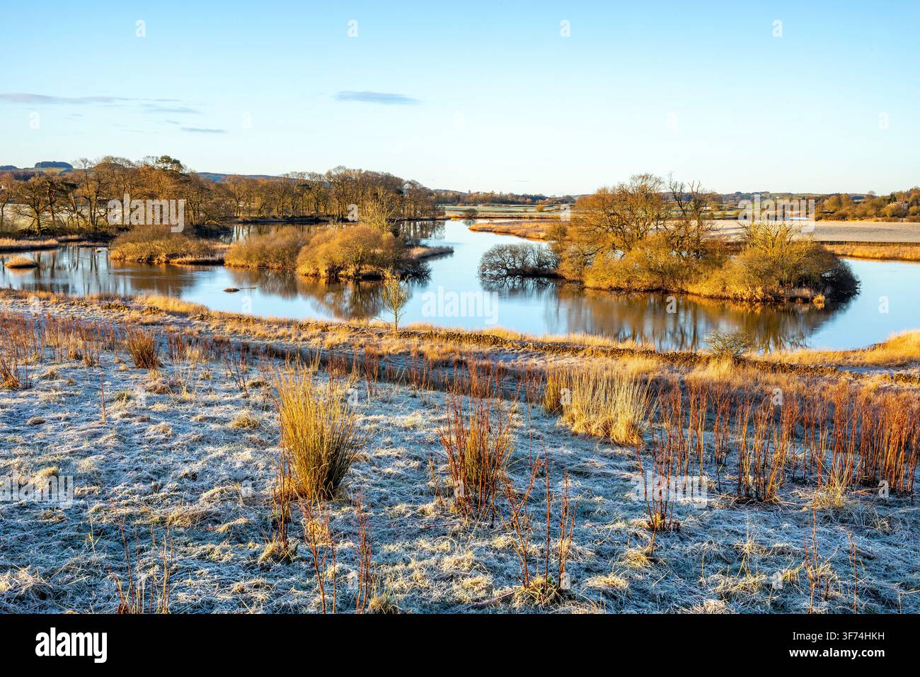Castello di Threave e riserva naturale; Dumfries e Galloway; Scozia; Regno Unito Foto Stock